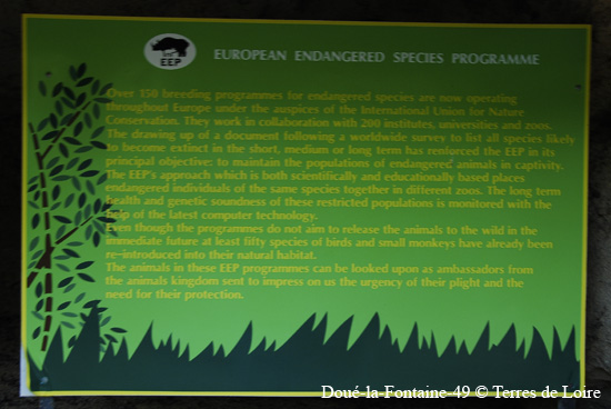 117-DSC_2479