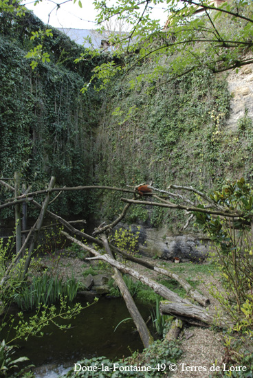 125-DSC_2484