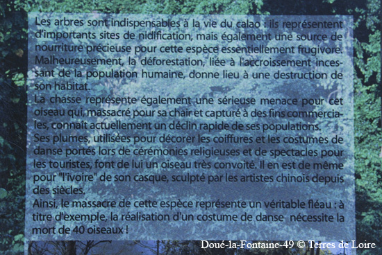 131-DSC_2495