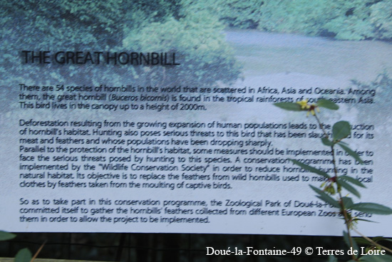 132-DSC_2496