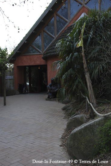 135-DSC_2502