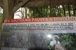 049-DSC_2421