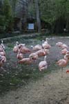104-DSC_2470
