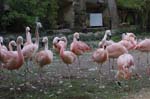 105-DSC_0338