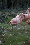 107-DSC_0342