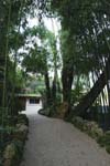 127-DSC_2491