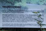 132-DSC_2496