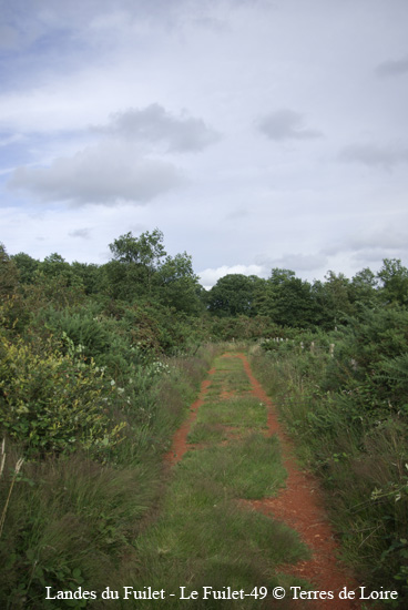 040-SG100345