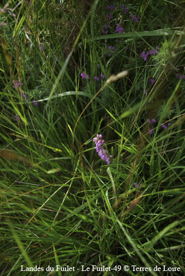 051-SG100349