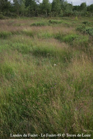 055-SG100352