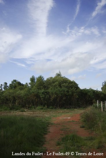 059-SG100356