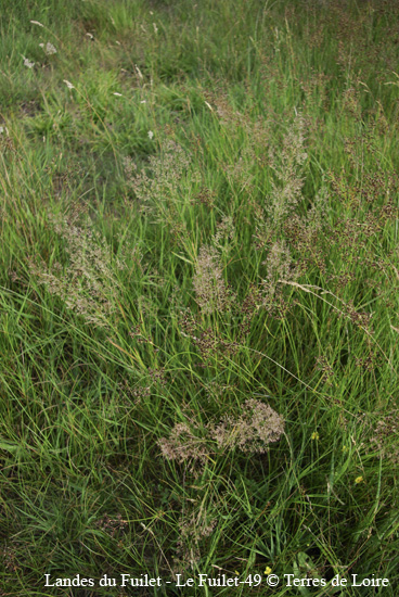 063-SG100360