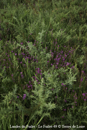 070-SG100370