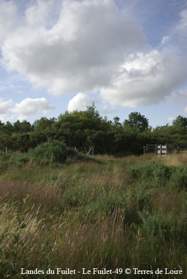 074-SG100374