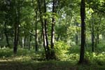 113-DSC_7379