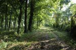 115-DSC_7392