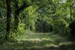 116-DSC_7393