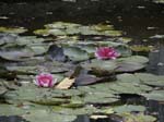 126-IMG_3083