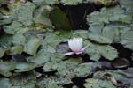 127-DSC_7419