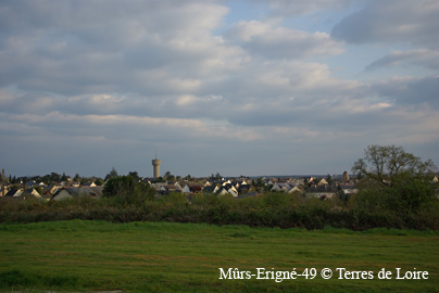 yaSG107445