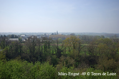 SG109389