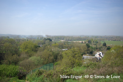 SG109391