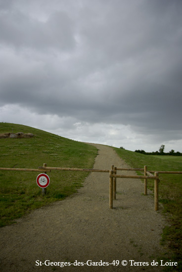 020-SG109312