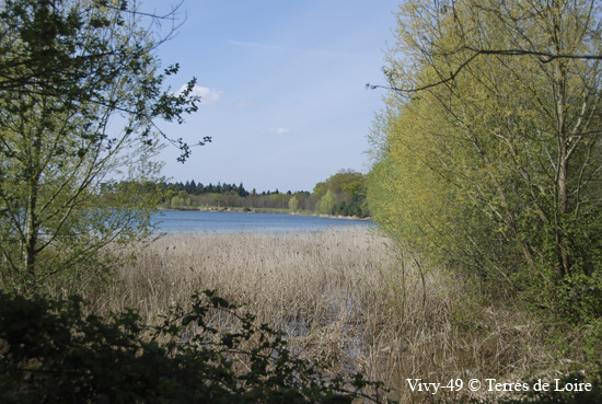 103-DSC_4091
