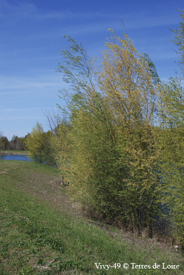 109-DSC_4253
