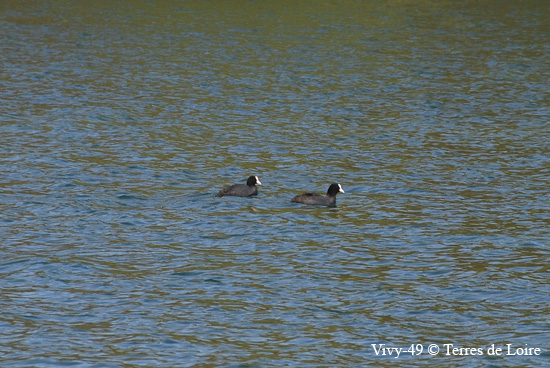 110-DSC_4229