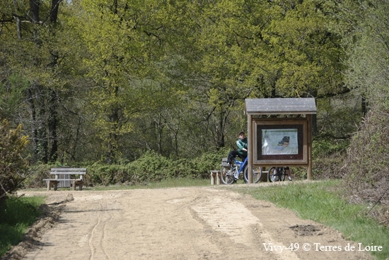 112-DSC_4096