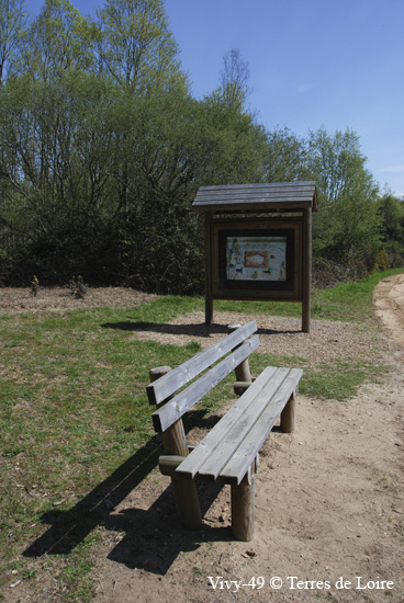 115-DSC_4098