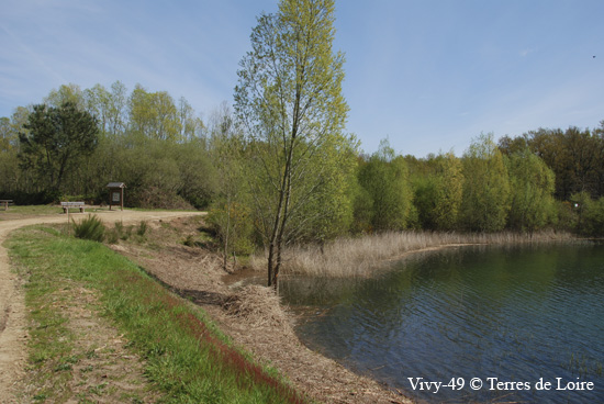 118-DSC_4107