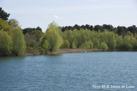 129-DSC_4122