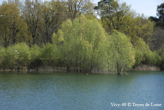 130-DSC_4119