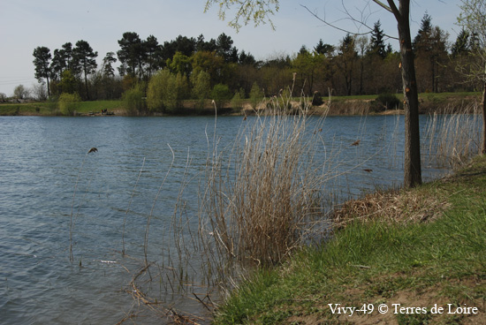 143-DSC_4169