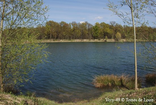 175-DSC_4220
