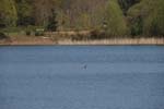 066-DSC_4042