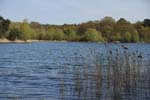 108-DSC_4232
