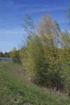 109-DSC_4253