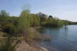 119-DSC_4102
