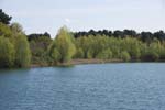 129-DSC_4122