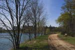 135-DSC_4137