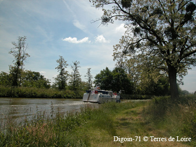 deDSCN3175