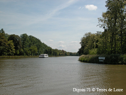 dhiDSCN3177