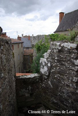 hwSG107529