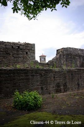 iuSG107583