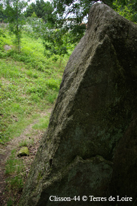 eiSG107832