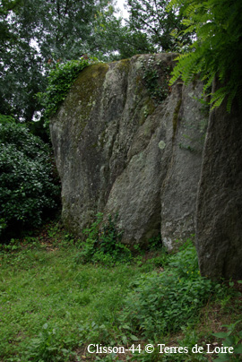 fhSG107644