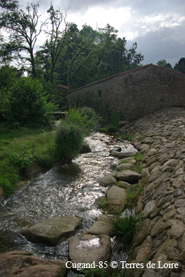 dvSG106875